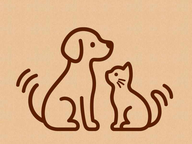 Symbolbild Körpersprache Hund und Katze