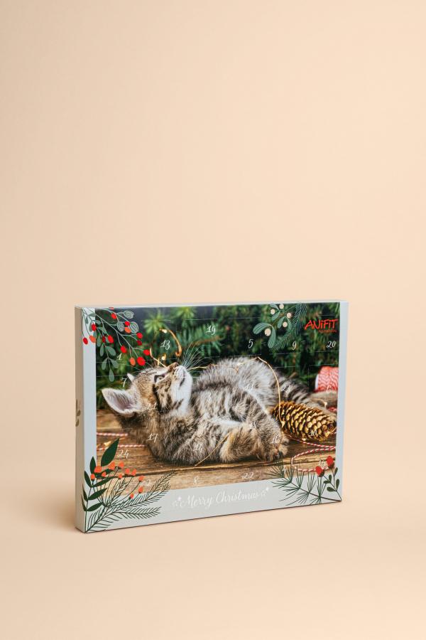 Katzen Adventskalender 2024