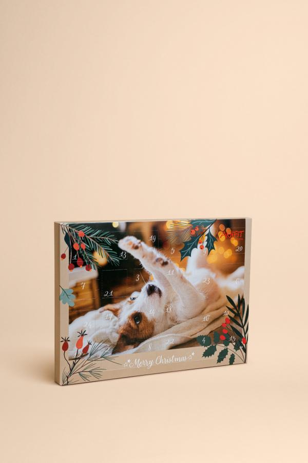 Adventskalender 2024 für Hunde